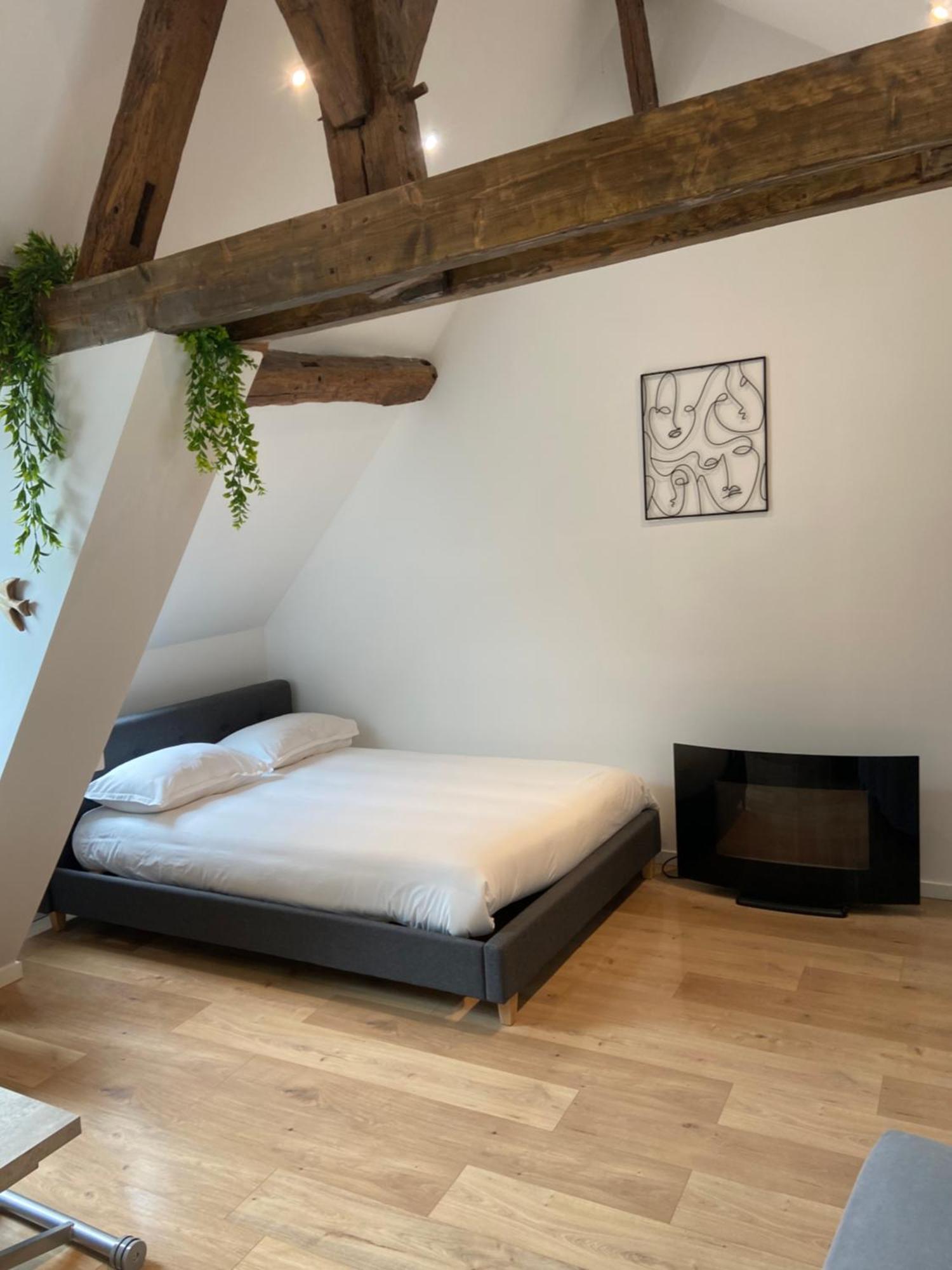 La Champenoise La Tannerie Apartman Troyes Kültér fotó