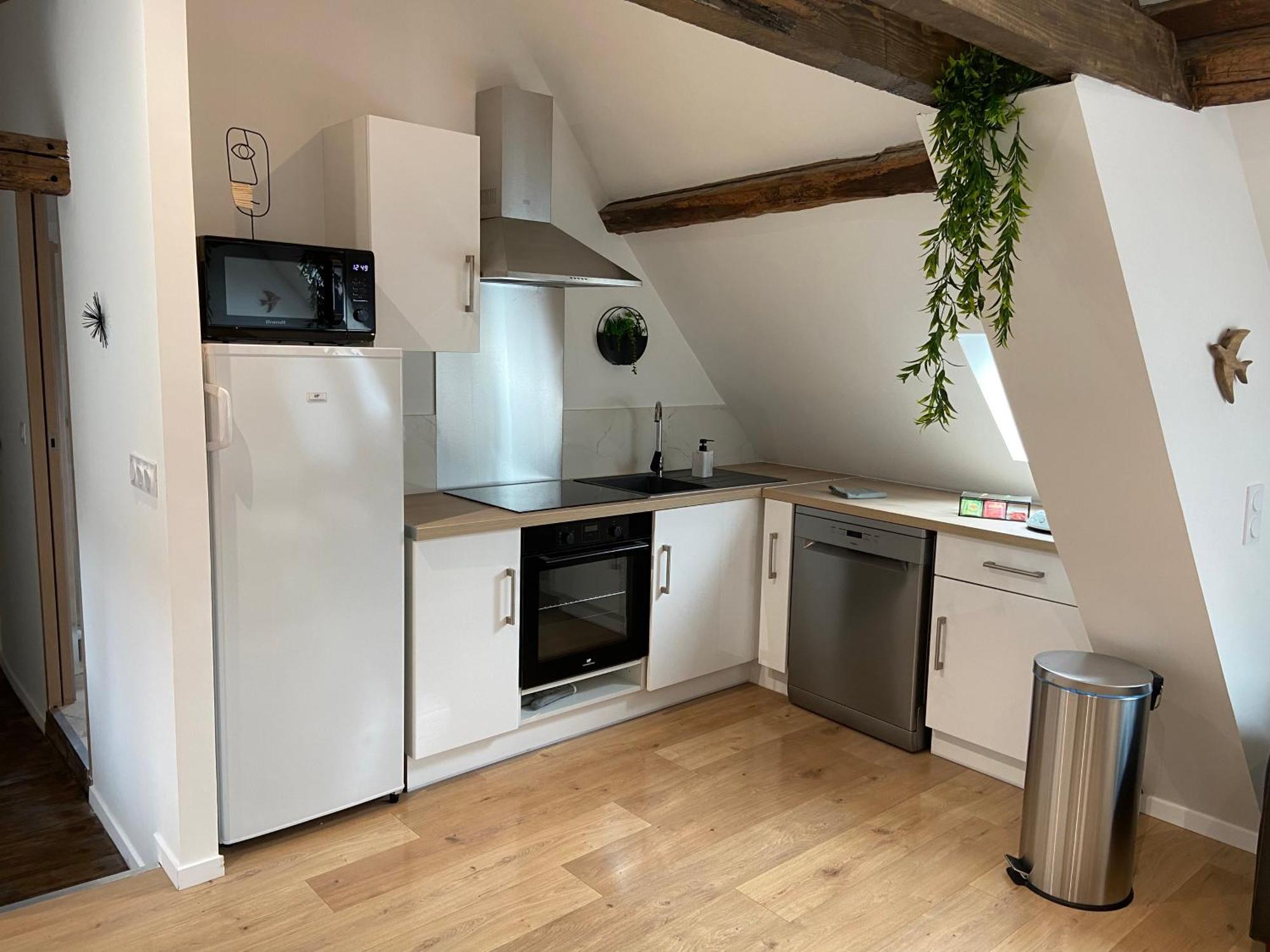 La Champenoise La Tannerie Apartman Troyes Kültér fotó