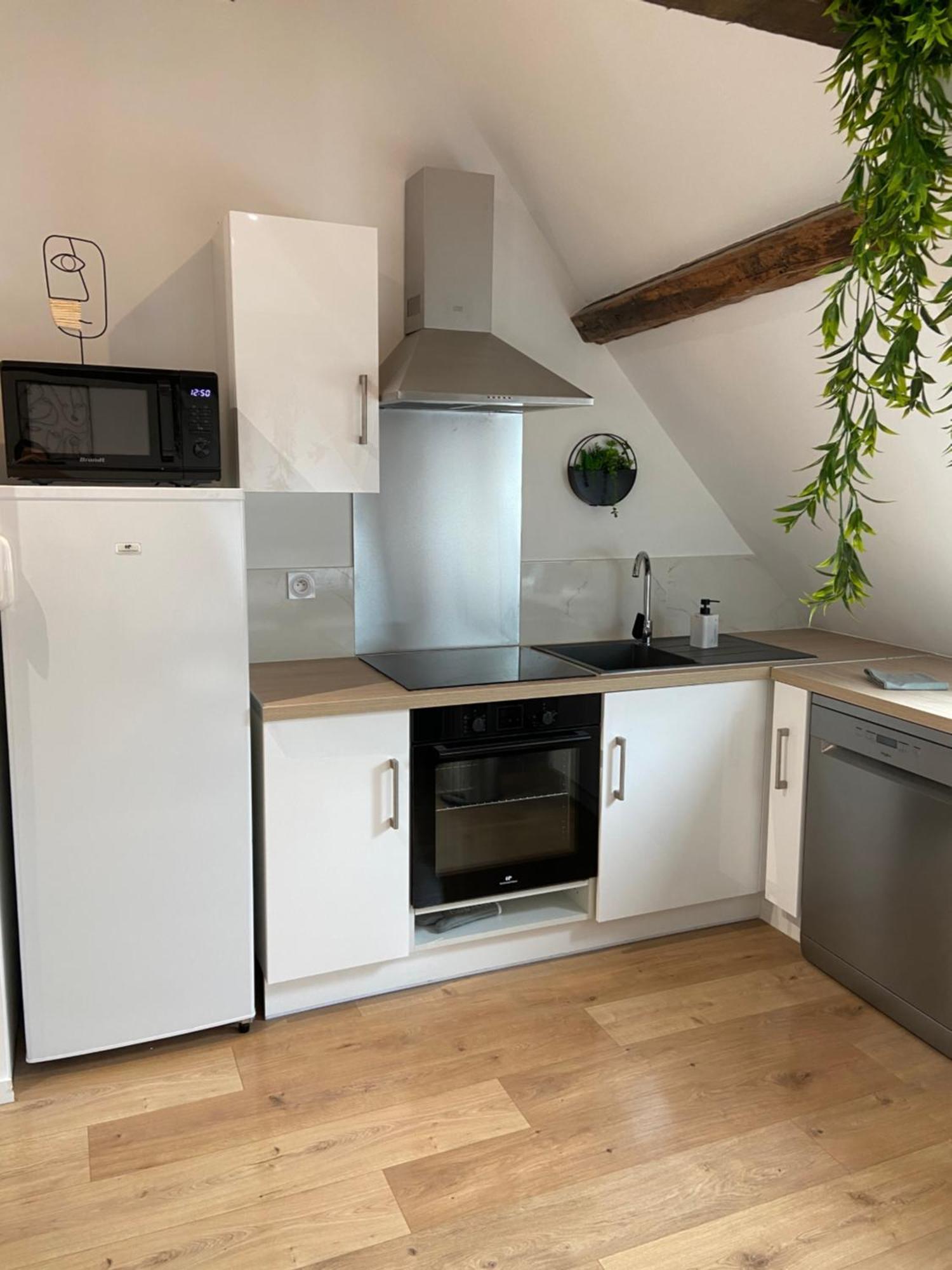 La Champenoise La Tannerie Apartman Troyes Kültér fotó