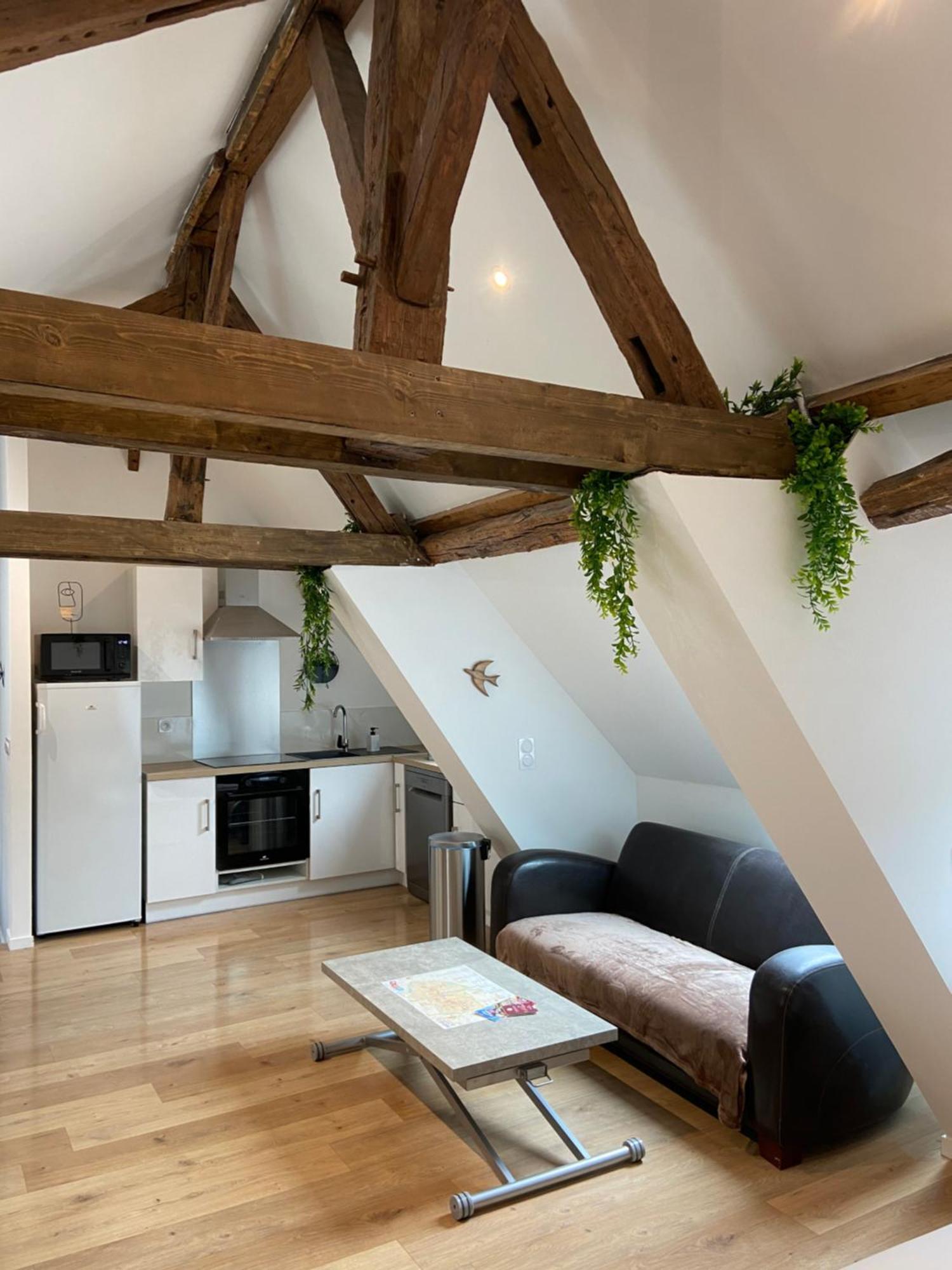La Champenoise La Tannerie Apartman Troyes Kültér fotó