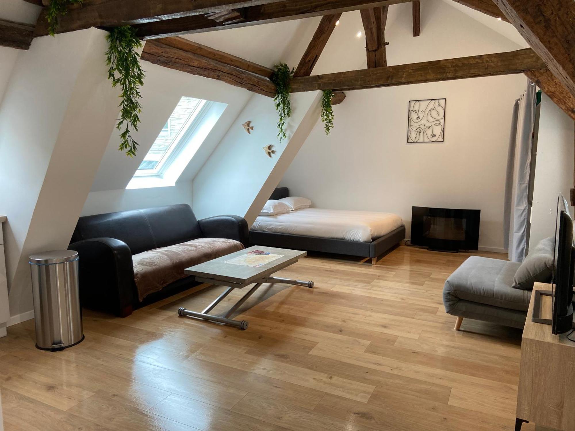 La Champenoise La Tannerie Apartman Troyes Kültér fotó