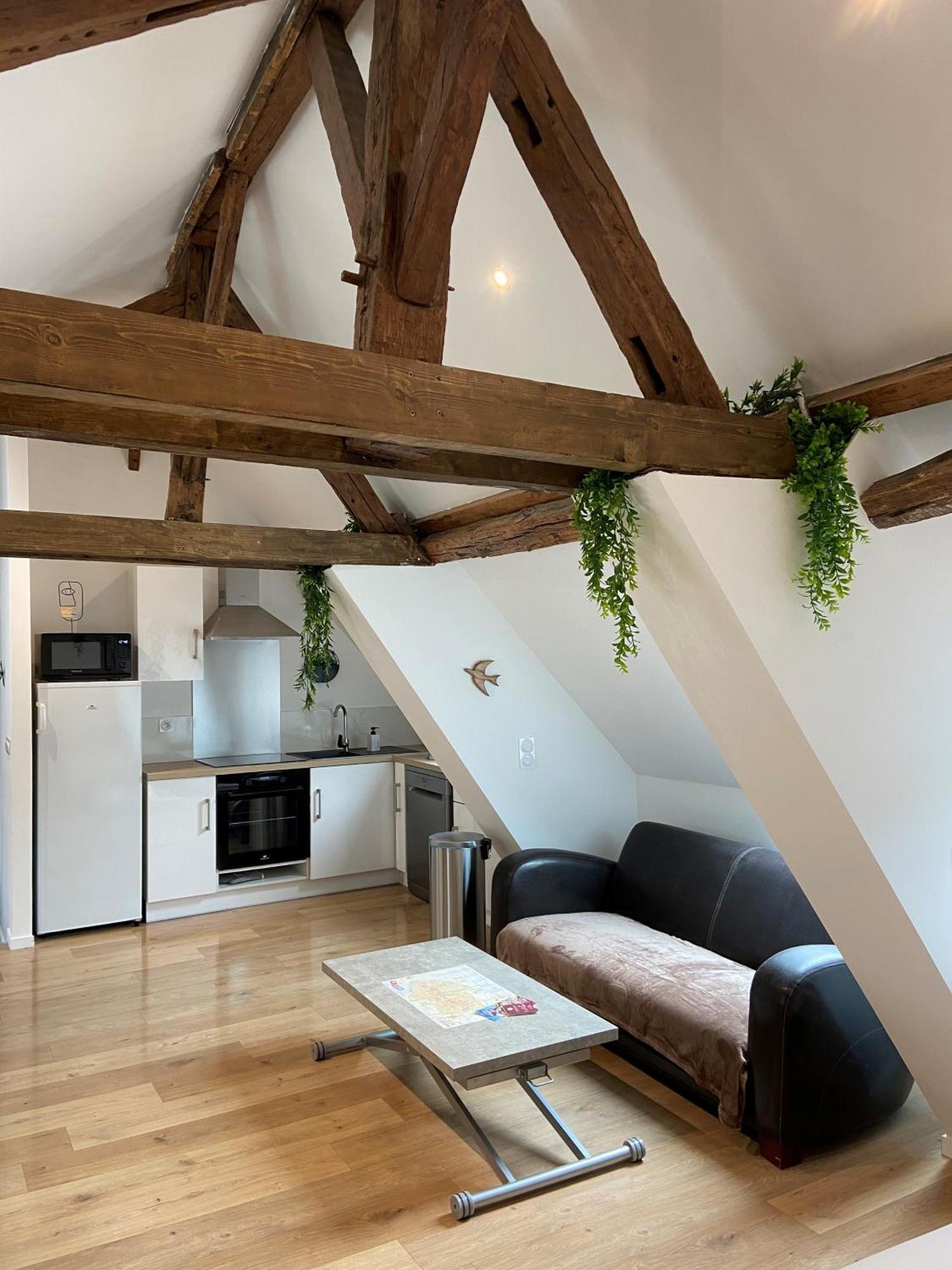 La Champenoise La Tannerie Apartman Troyes Kültér fotó
