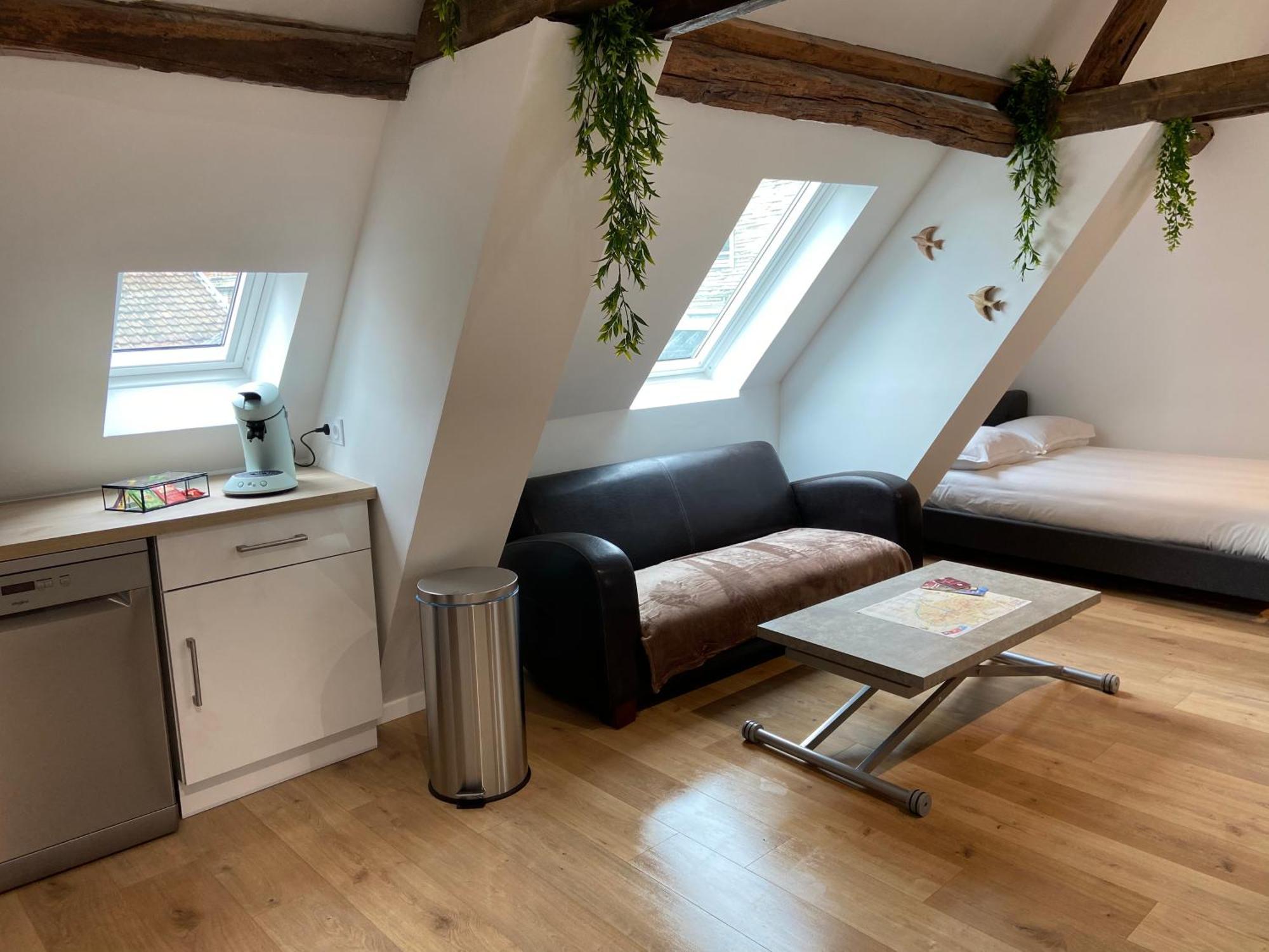 La Champenoise La Tannerie Apartman Troyes Kültér fotó