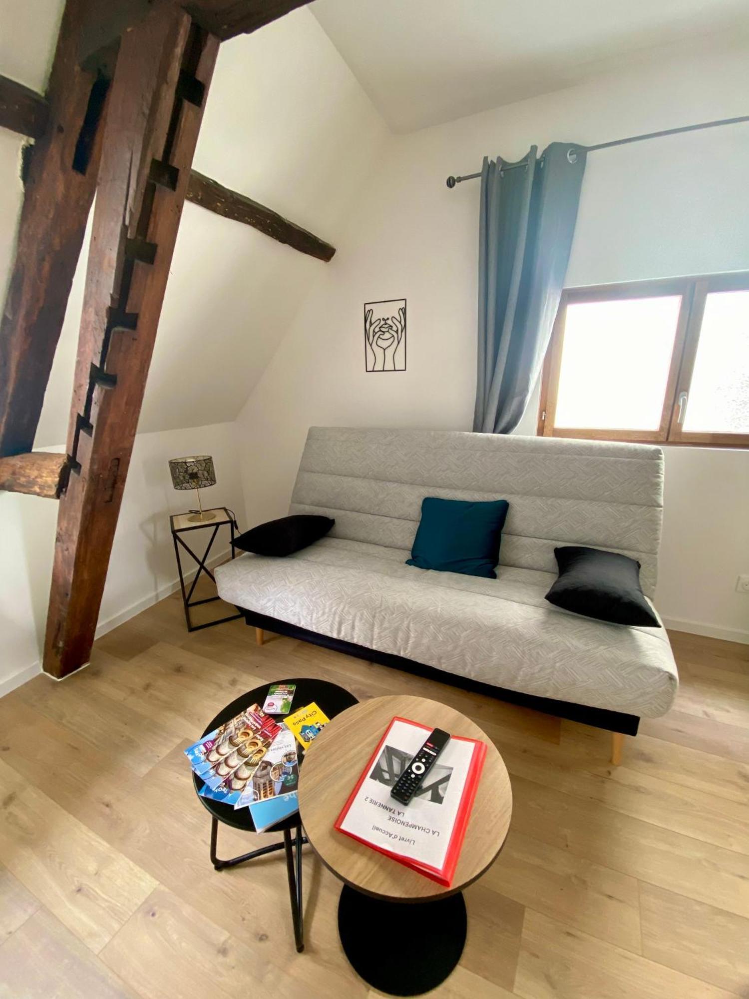 La Champenoise La Tannerie Apartman Troyes Kültér fotó