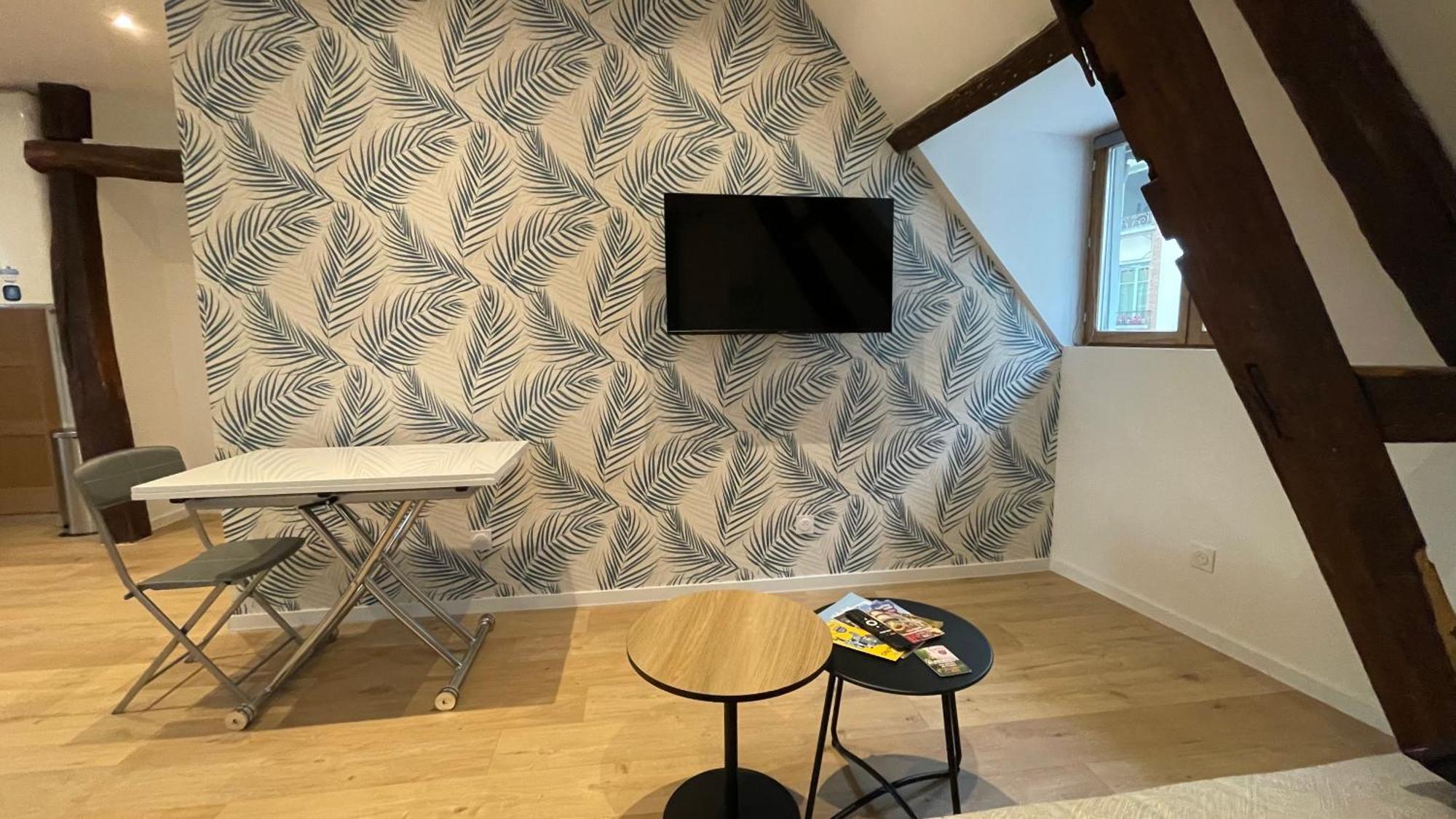 La Champenoise La Tannerie Apartman Troyes Kültér fotó