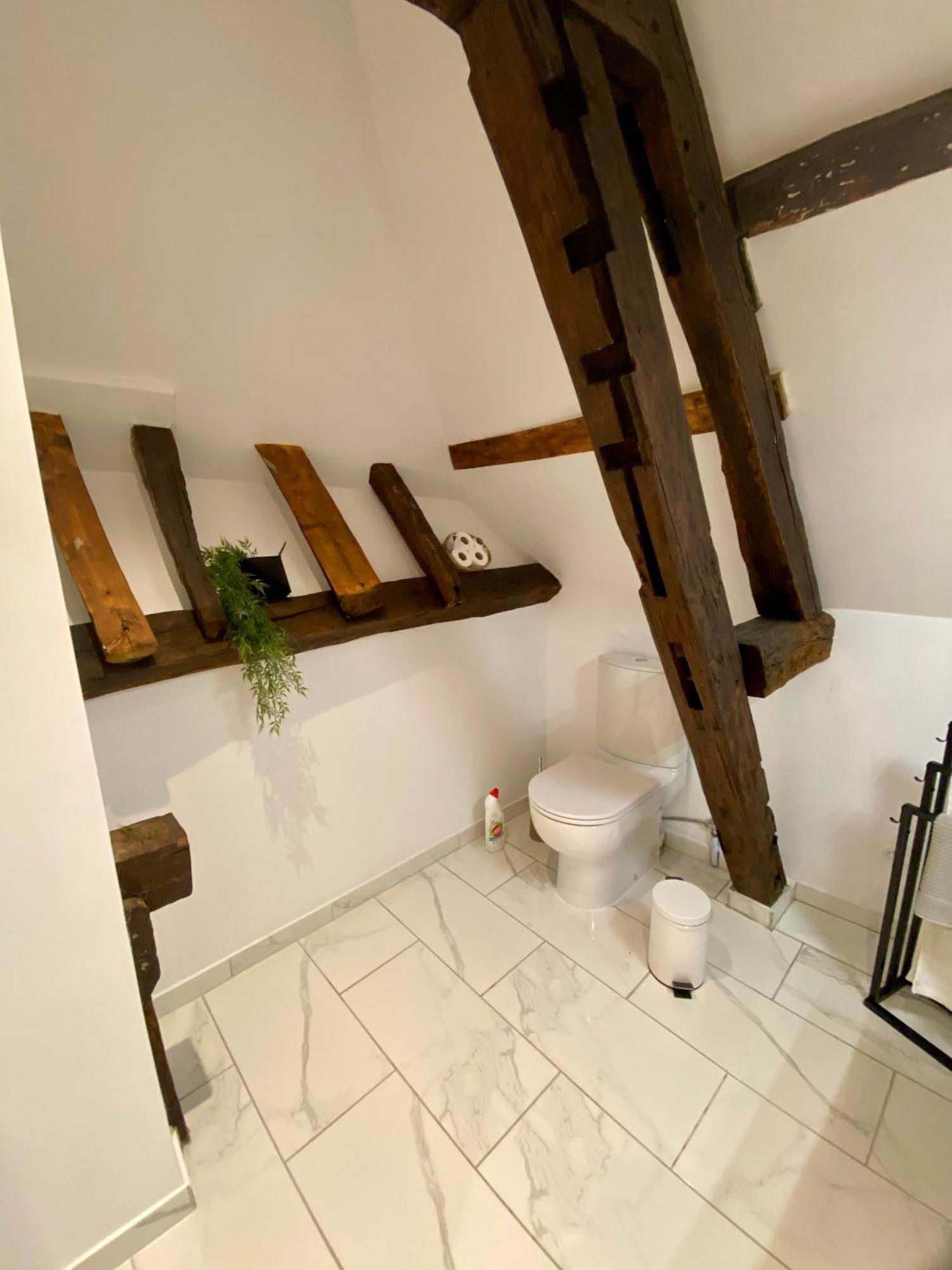 La Champenoise La Tannerie Apartman Troyes Kültér fotó
