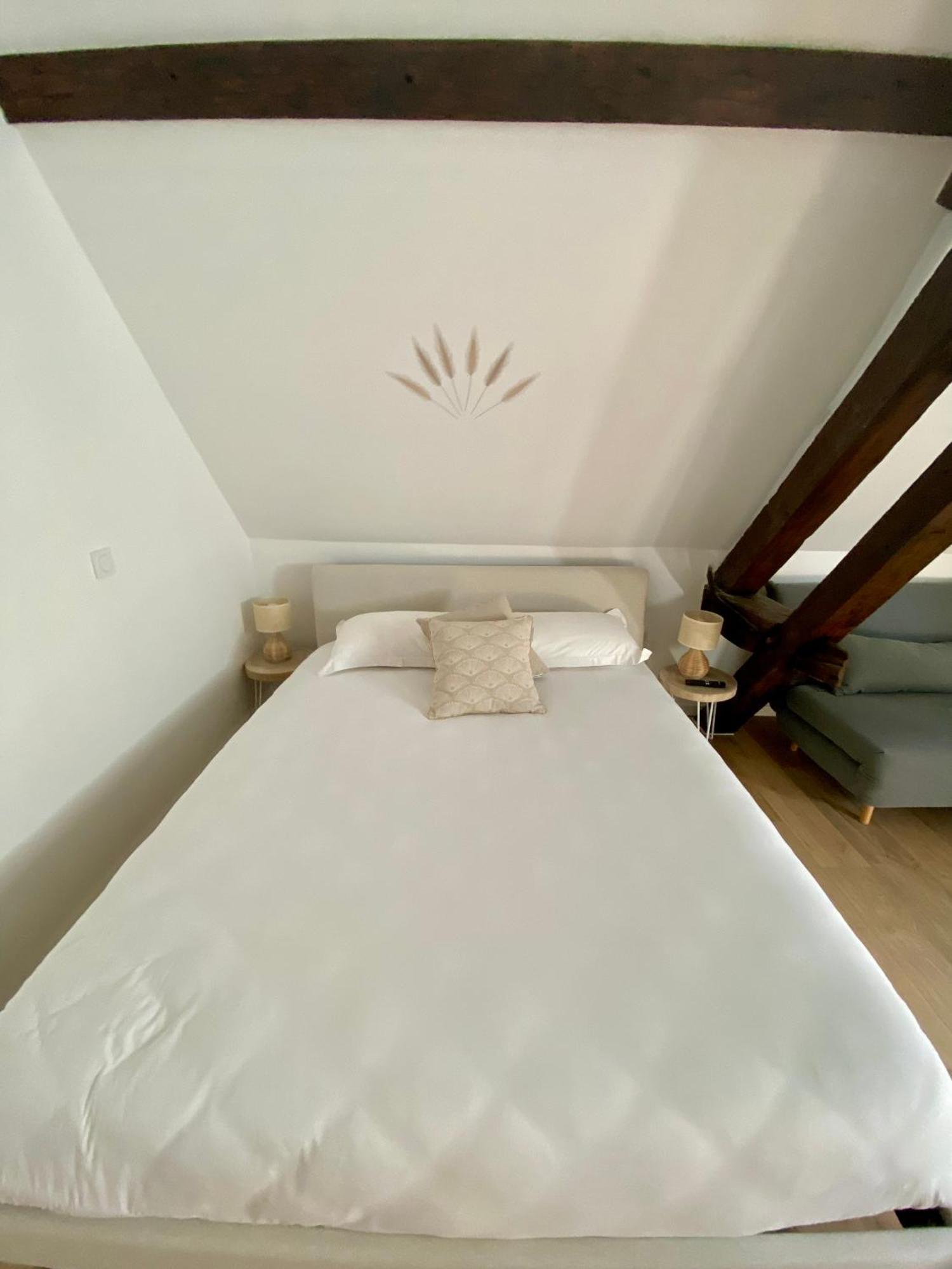 La Champenoise La Tannerie Apartman Troyes Kültér fotó