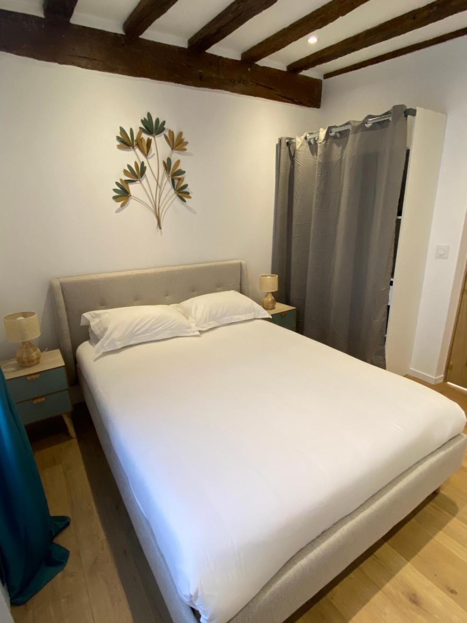 La Champenoise La Tannerie Apartman Troyes Kültér fotó