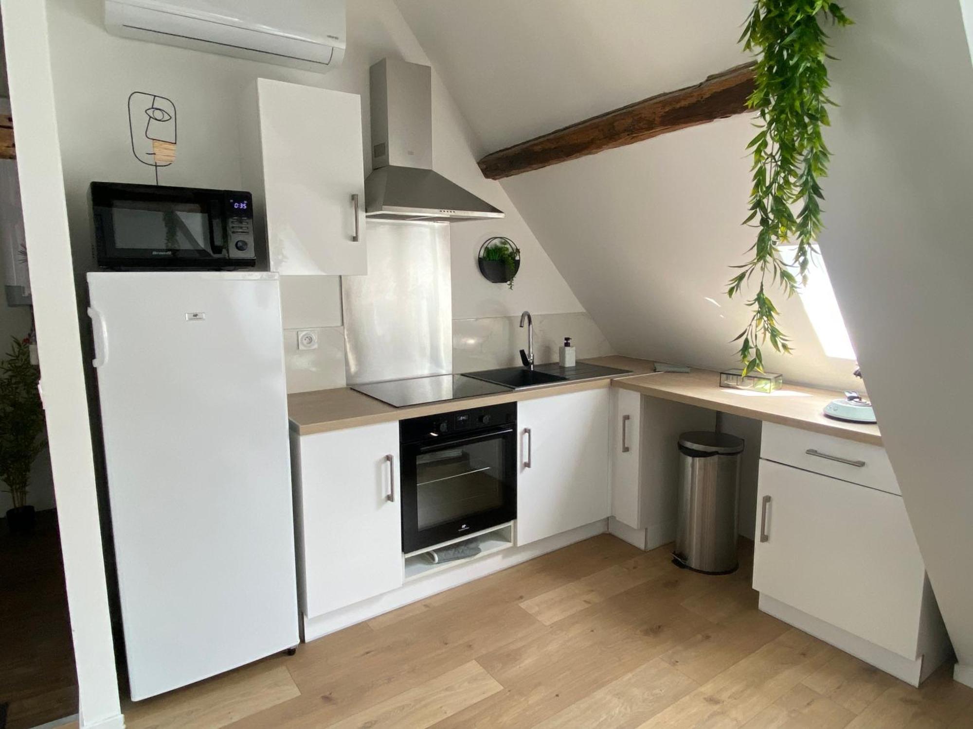 La Champenoise La Tannerie Apartman Troyes Kültér fotó