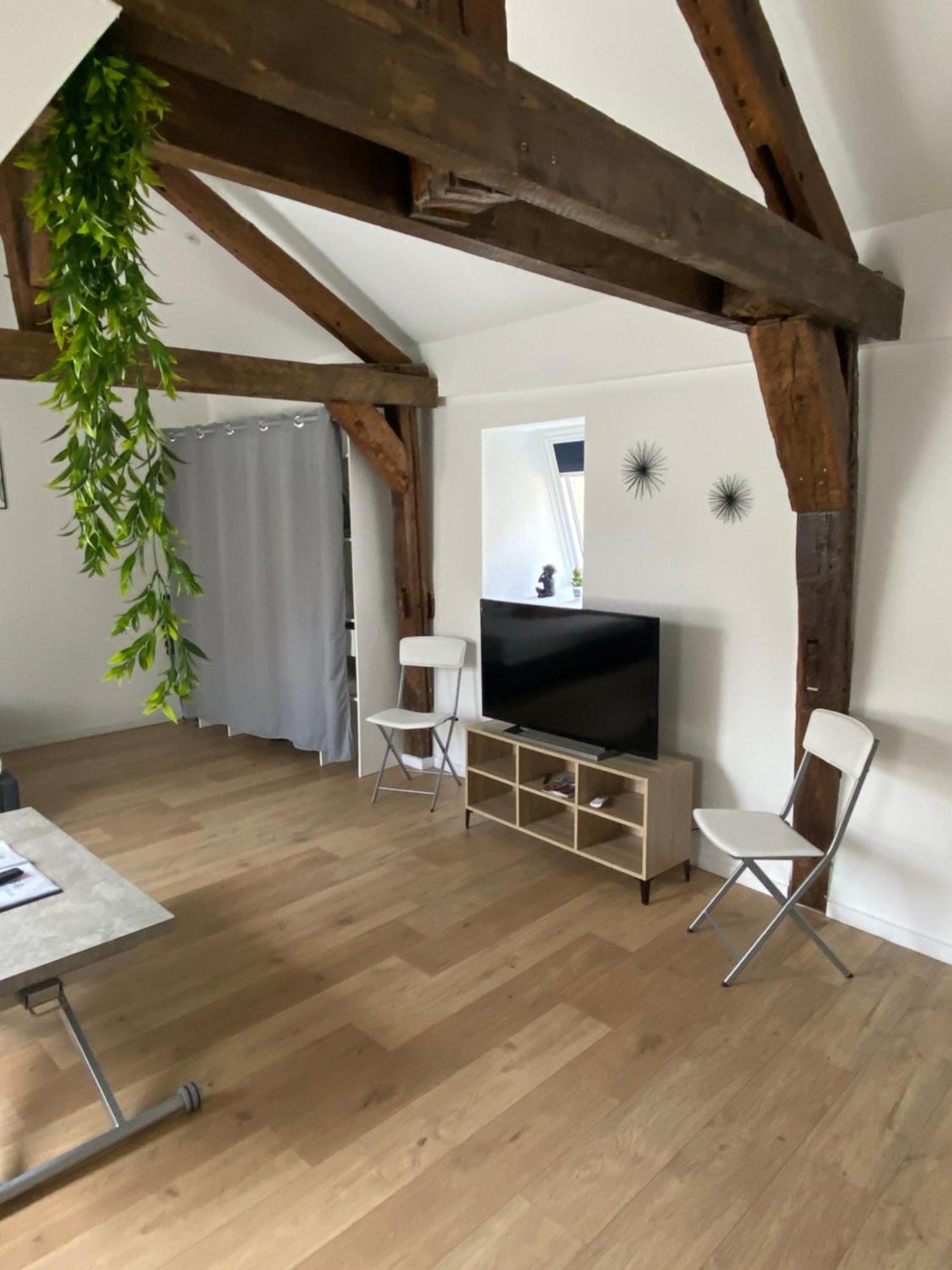 La Champenoise La Tannerie Apartman Troyes Kültér fotó