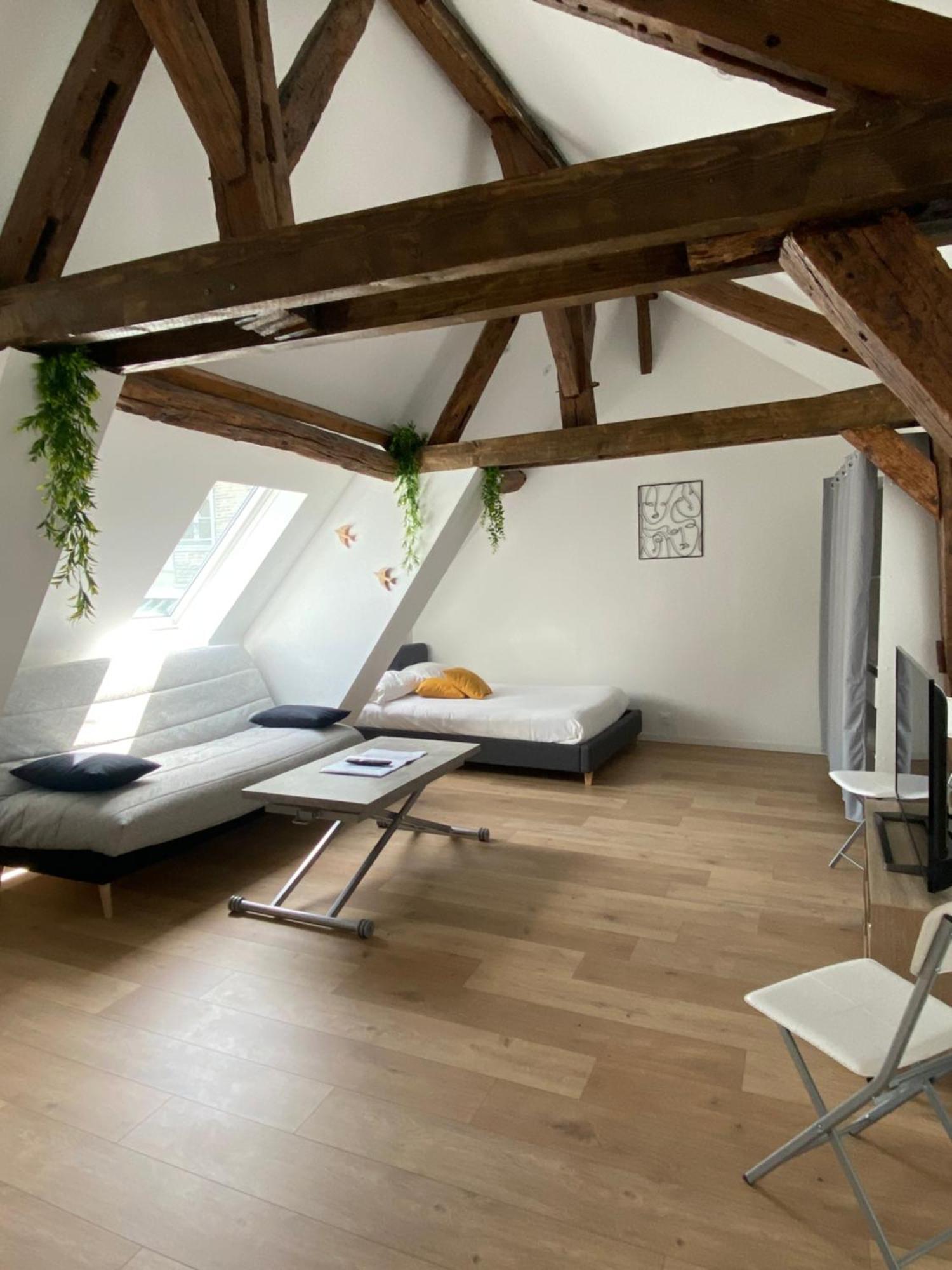 La Champenoise La Tannerie Apartman Troyes Kültér fotó